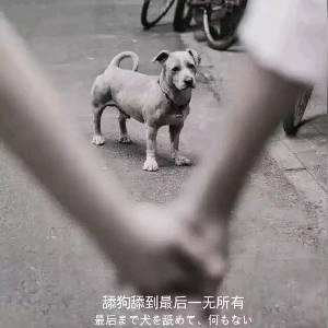 公共事件 龙泉府 雪国冬猎全攻略 攻略 西山居游戏中心